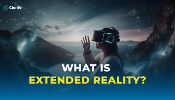 Extended Reality