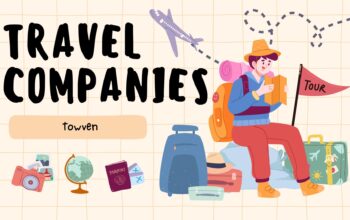 Finding the Best Travel Insurance Companies for Safe and Stress-Free Travels